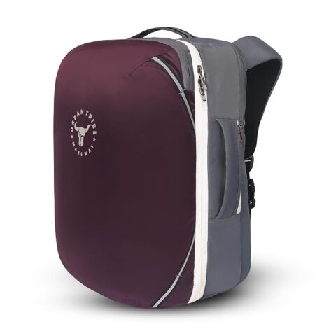 31L Travel Backpack for Men & Women | Laptop Bag 15.6 inch | Overnighter Backpack | Convertible -Brown